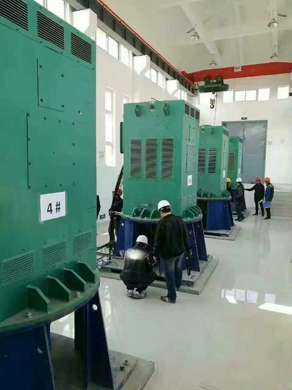 华安某污水处理厂使用我厂的立式高压电机安装现场安装尺寸